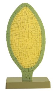 Parapluutjesmos Model, antheridium