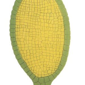 Parapluutjesmos Model, antheridium