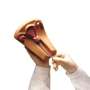 Plaatsing Spiraaltje Trainer - IUD trainer