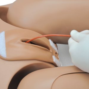 Oefenpop Verpleegtechnische Vaardigheden Man/Vrouw