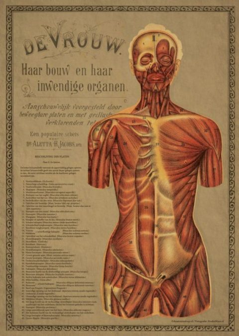 Wandplaat Dr. Aletta Jacobs, spieren vrouw, A1 formaat