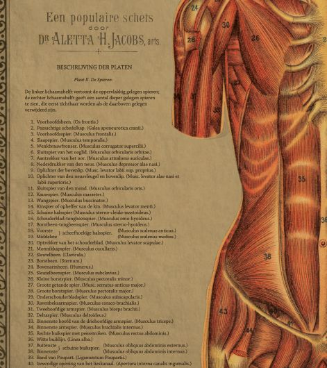 Wandplaat Dr. Aletta Jacobs, spieren vrouw, A1 formaat