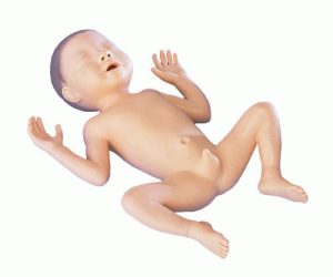 Premature Baby Oefenpop