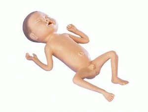 Premature Baby Oefenpop