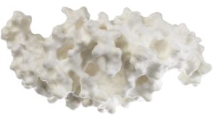 Proteïne Model