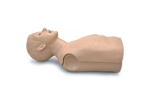 Reanimatiepop Torso