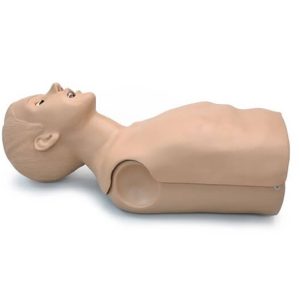 Reanimatiepop Torso