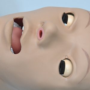 Reanimatiepop Torso
