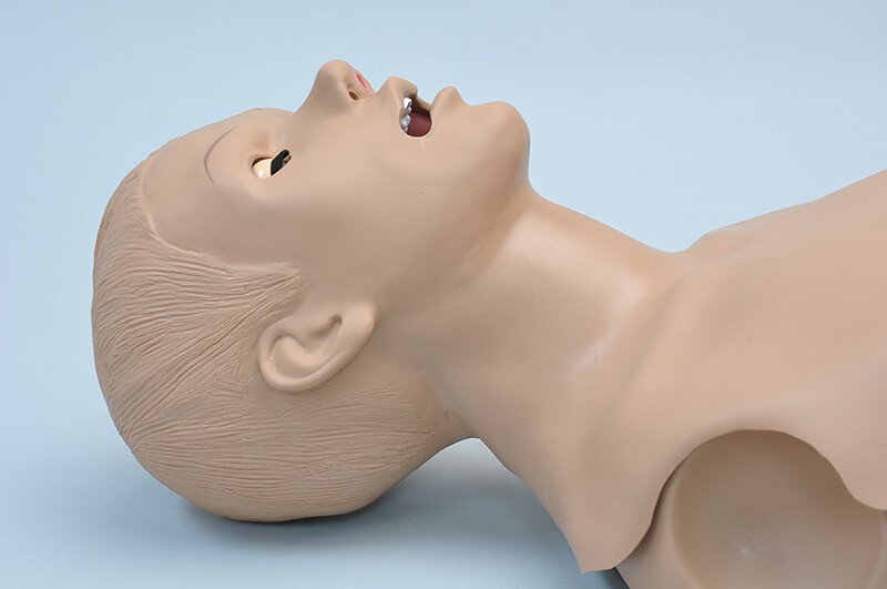 Reanimatiepop Torso