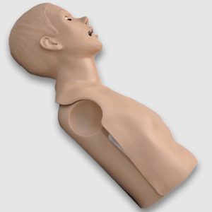 Reanimatiepop Torso