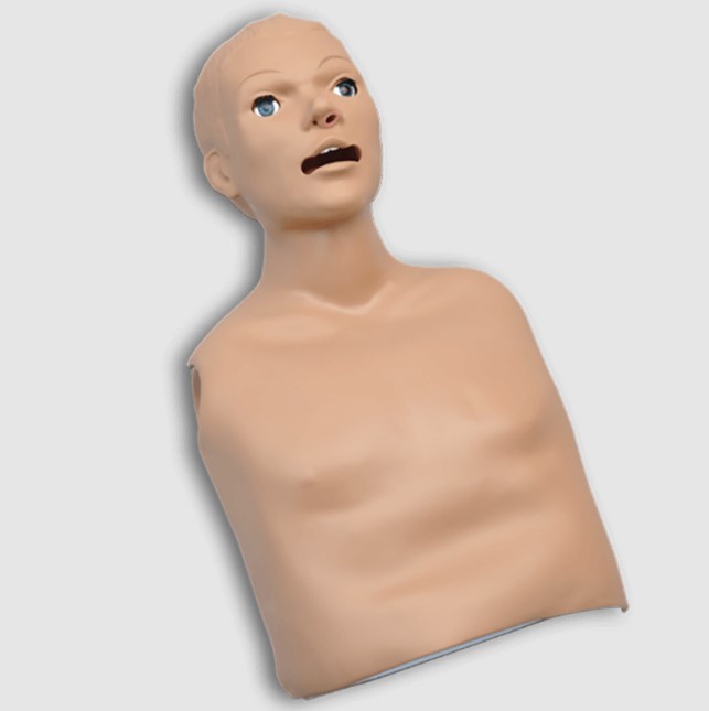 Reanimatiepop Torso