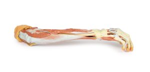 Rechter Arm, 3D Print