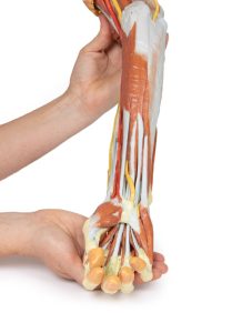 Rechter Arm, 3D Print
