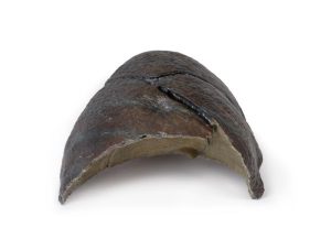 Rechter Long, hilum verwijderd, 3D Print