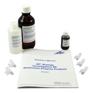 Restrictie-enzymen Analyse DNA