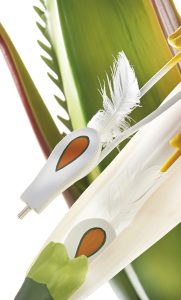 Roggeaar Model