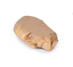 Sagittale Doorsnede Hoofd met diepe dissectie, 3D Print