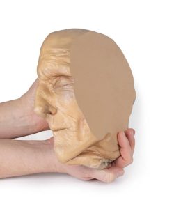 Sagittale Doorsnede Hoofd met diepe dissectie, 3D Print