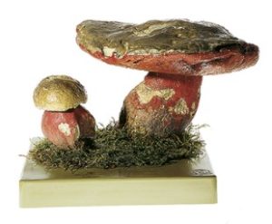 Satansboleet Model