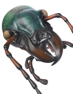 Schallebijter Model