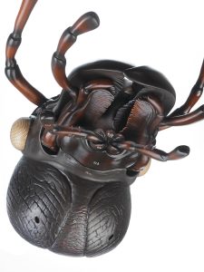 Schallebijter Model