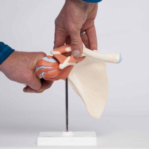 Deluxe functioneel schoudergewricht