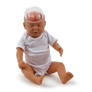 Shaken Baby Demonstratie Model