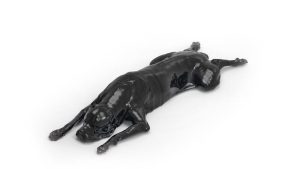 Simulatiemodel Hond voor CT- en Röntgenscans