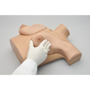 Simulatiemodel Zelfonderzoek Borsten