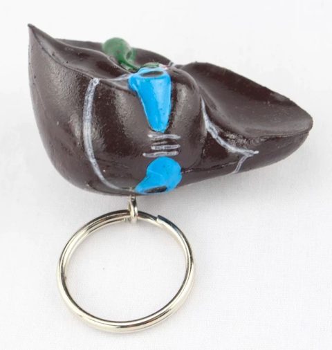 Sleutelhanger Lever