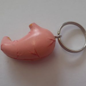 Sleutelhanger Maag