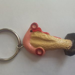 Sleutelhanger Organen