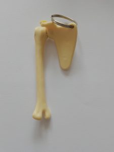 Sleutelhanger Schouder
