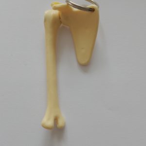 Sleutelhanger Schouder