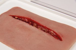 Snee Model