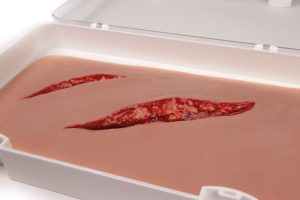 Snee Wond Model met Bloedingsfunctie