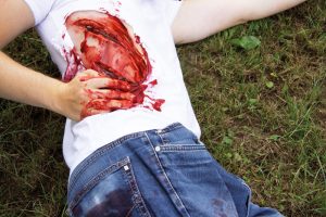 Snee Wond Model met Bloedingsfunctie