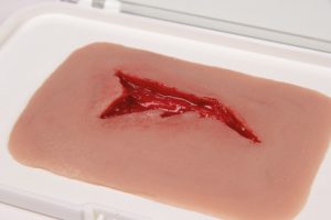 Snijwond Model