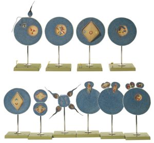 Somso Modellenset Meiose, 8-delig