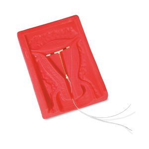 Spiraaltje Simulator - IUD trainer