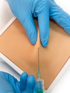 Subcutane Injectie Trainer Kat en Hond