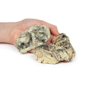 Suppuratieve Artritis in de Knie, 3D Print