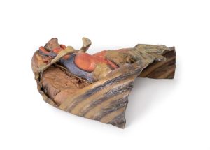 Thorax met Hart en Bloedvaten, 3D Print