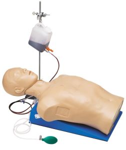 Thoraxtrauma Oefenmodel