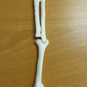 Grote Sleutelhanger Arm