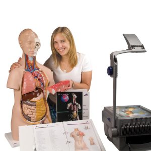 Torso Handboek
