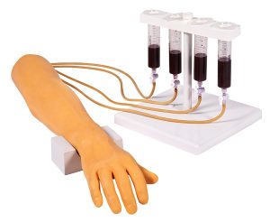 Trainingsarm voor Intraveneuze Injectie en Infuus