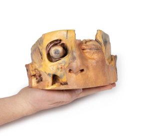 Transversale Doorsnede Hoofd, 3D Print