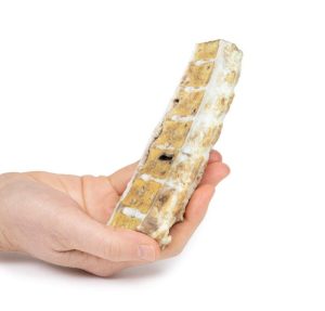 Tuberculose, 3D Print