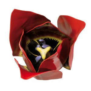 Tulp Model